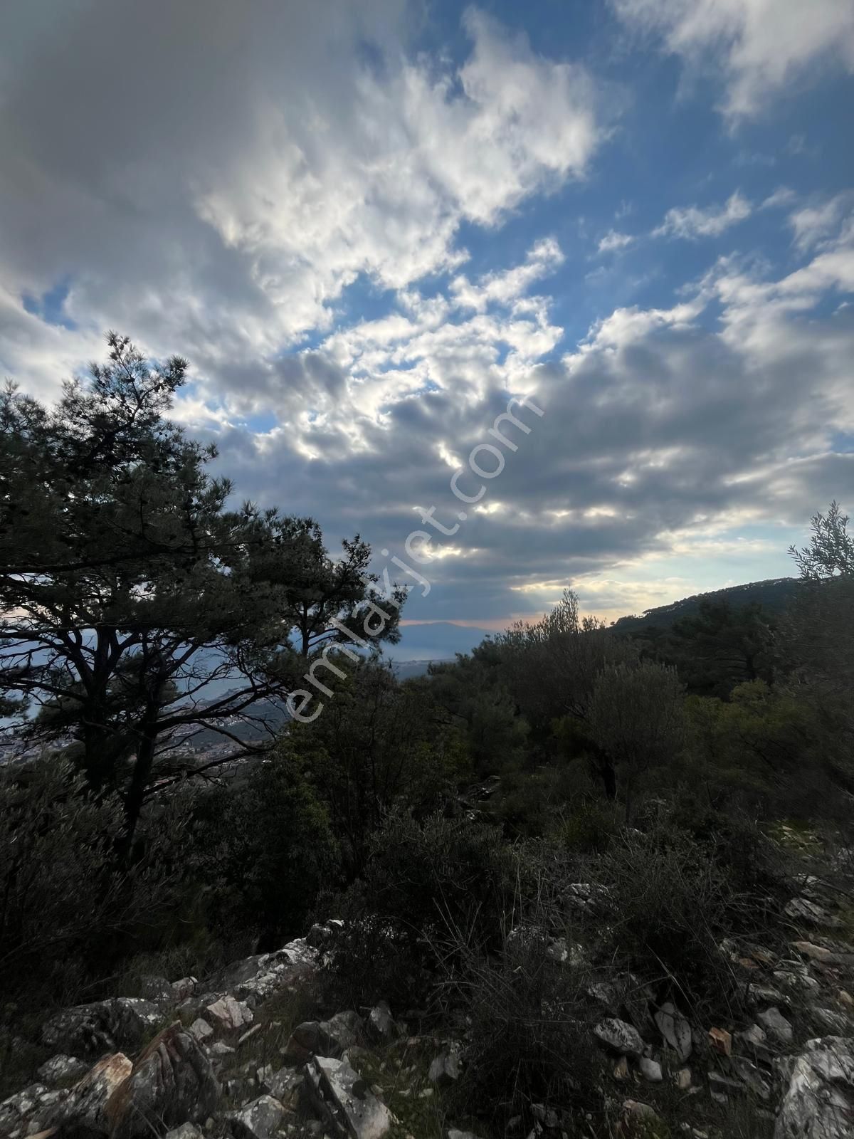 Rota- Altınoluk 4 Dönüm Zeytinlik Yol-su-elk - Görsel 23