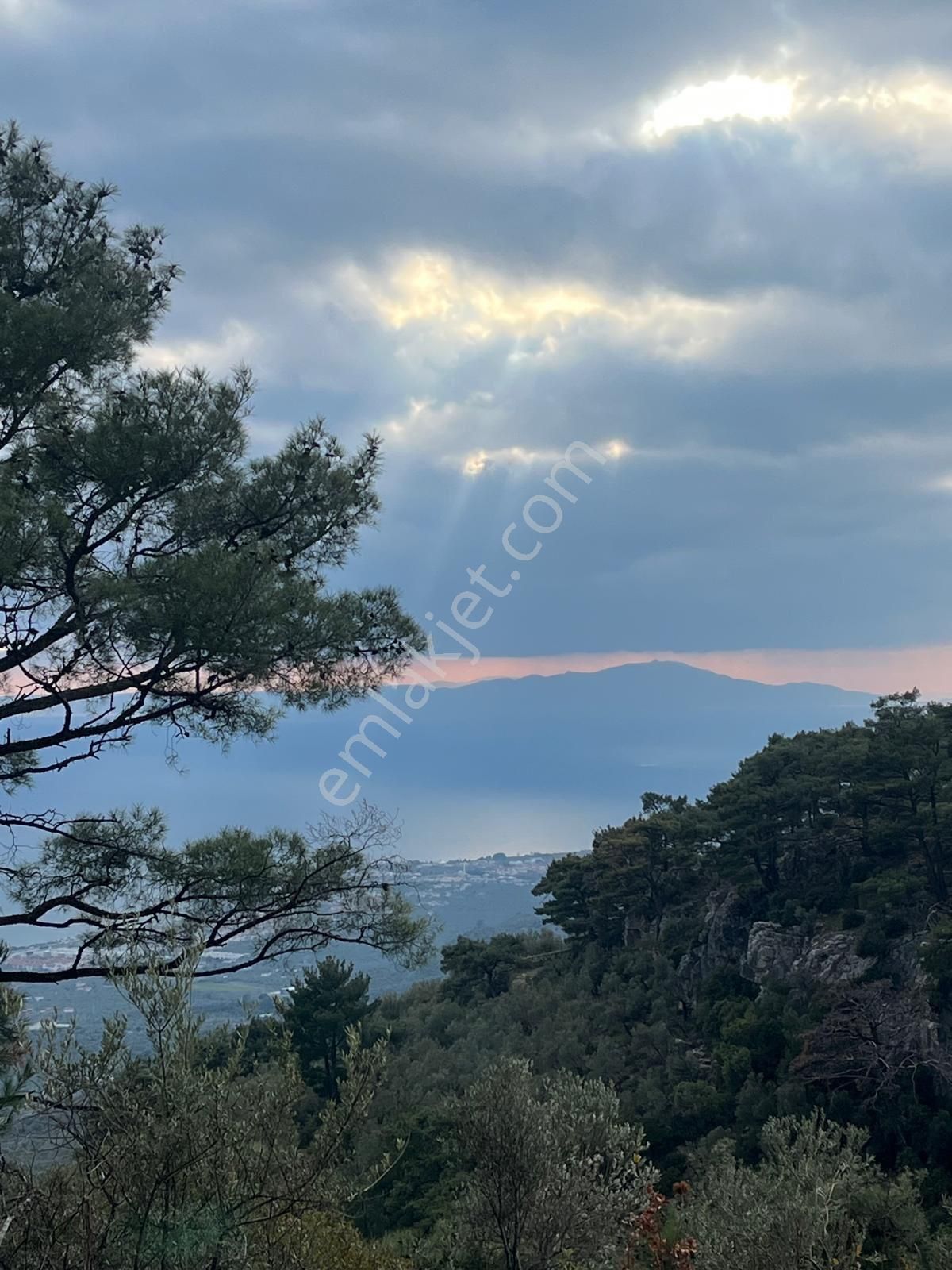 Rota- Altınoluk 4 Dönüm Zeytinlik Yol-su-elk - Görsel 16