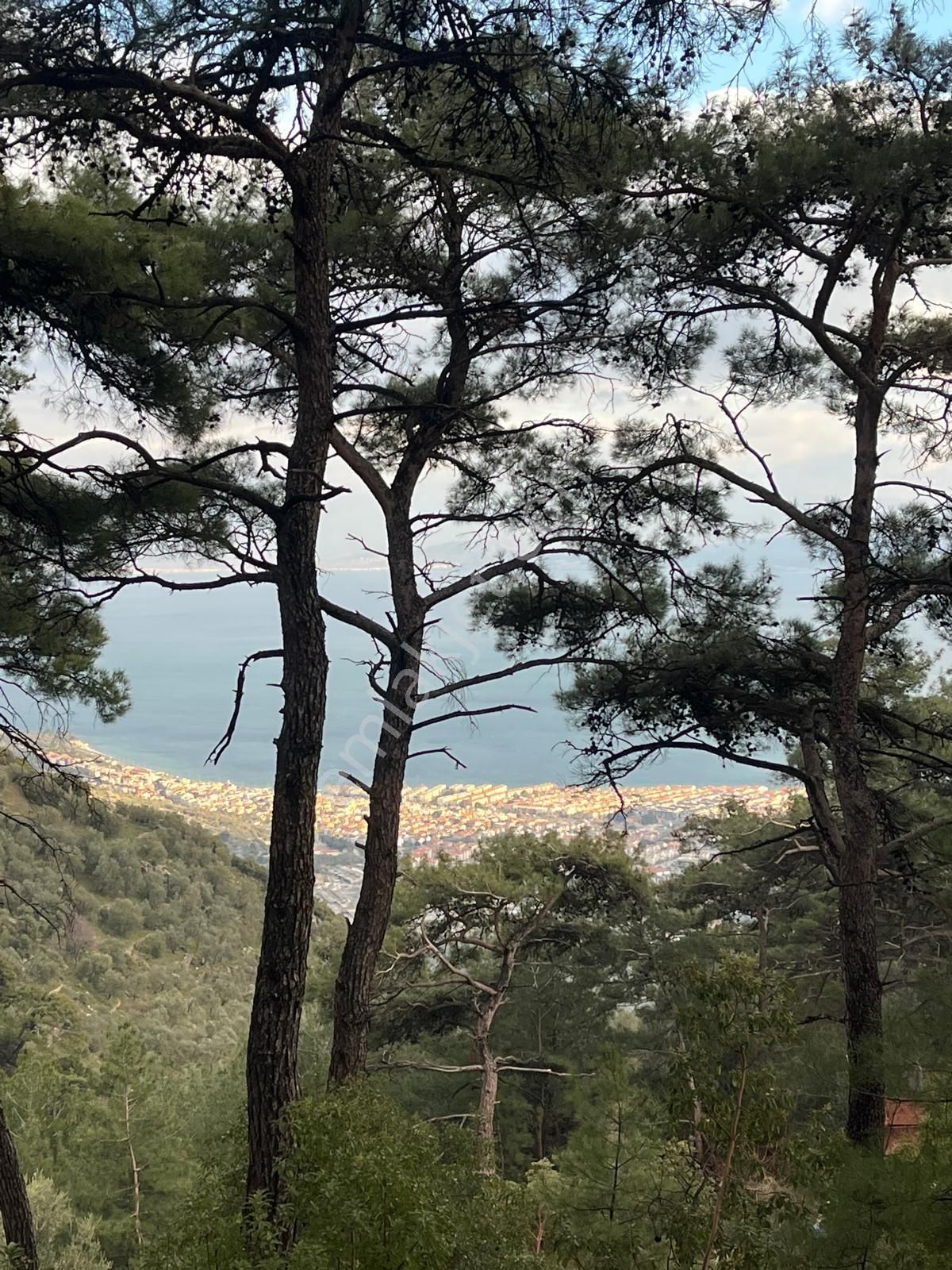 Rota- Altınoluk 4 Dönüm Zeytinlik Yol-su-elk - Görsel 14