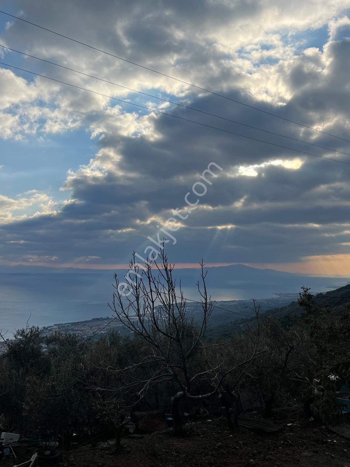 Rota- Altınoluk 4 Dönüm Zeytinlik Yol-su-elk - Görsel 9