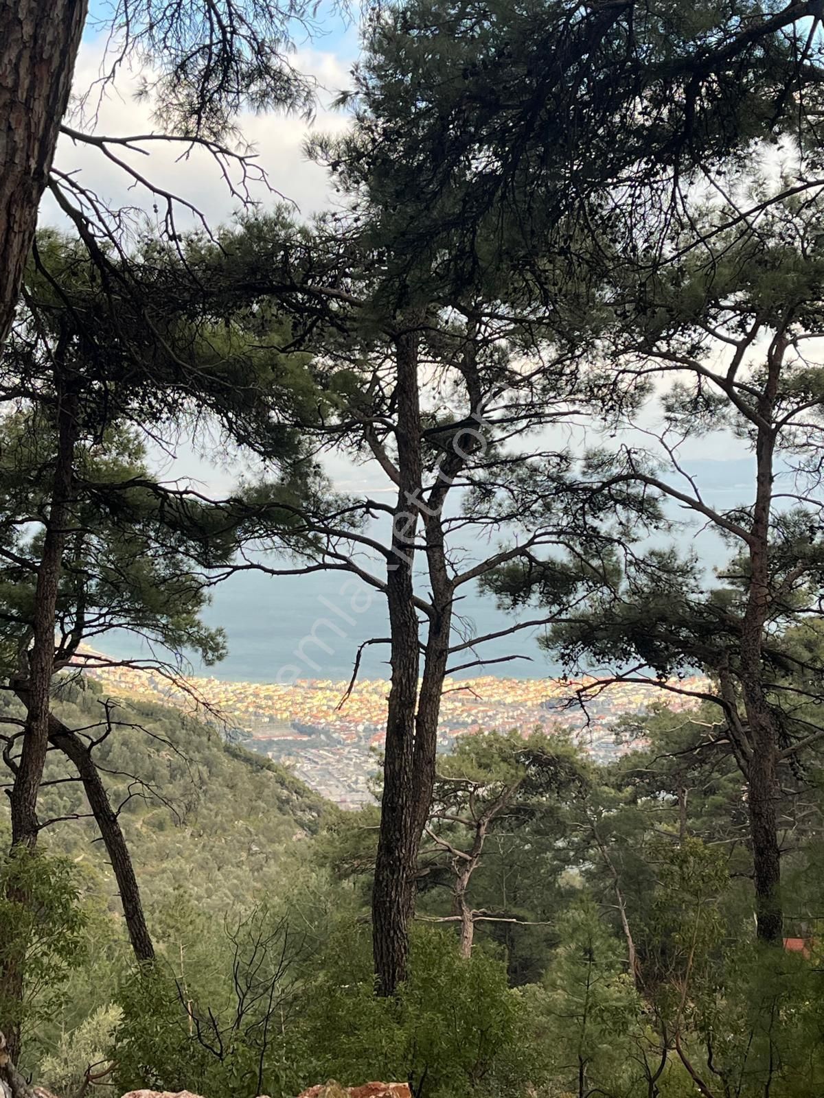 Rota- Altınoluk 4 Dönüm Zeytinlik Yol-su-elk - Görsel 13
