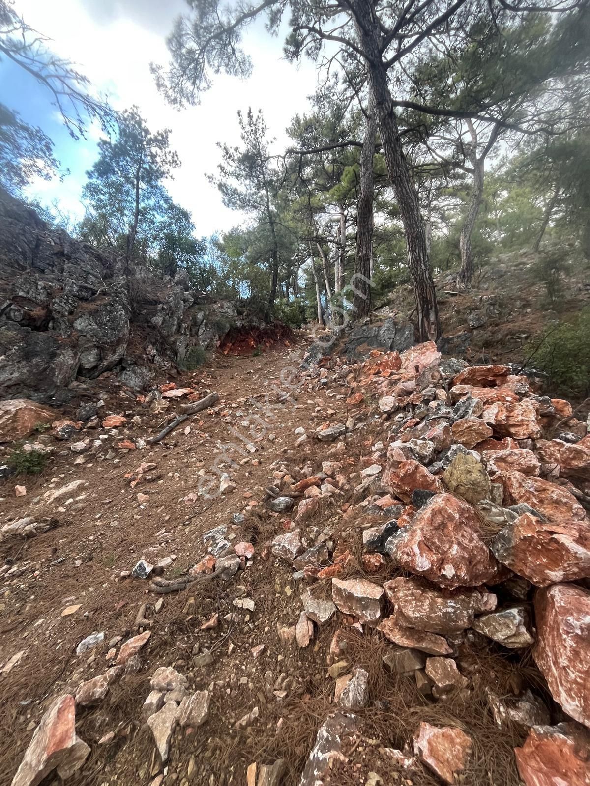 Rota- Altınoluk 4 Dönüm Zeytinlik Yol-su-elk - Görsel 11