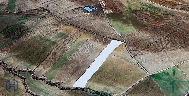 Elazığ Merkez Bağlarca Köyü Satılık Tarla Harbert Nekerek (bağlarca) Satılık Tarla