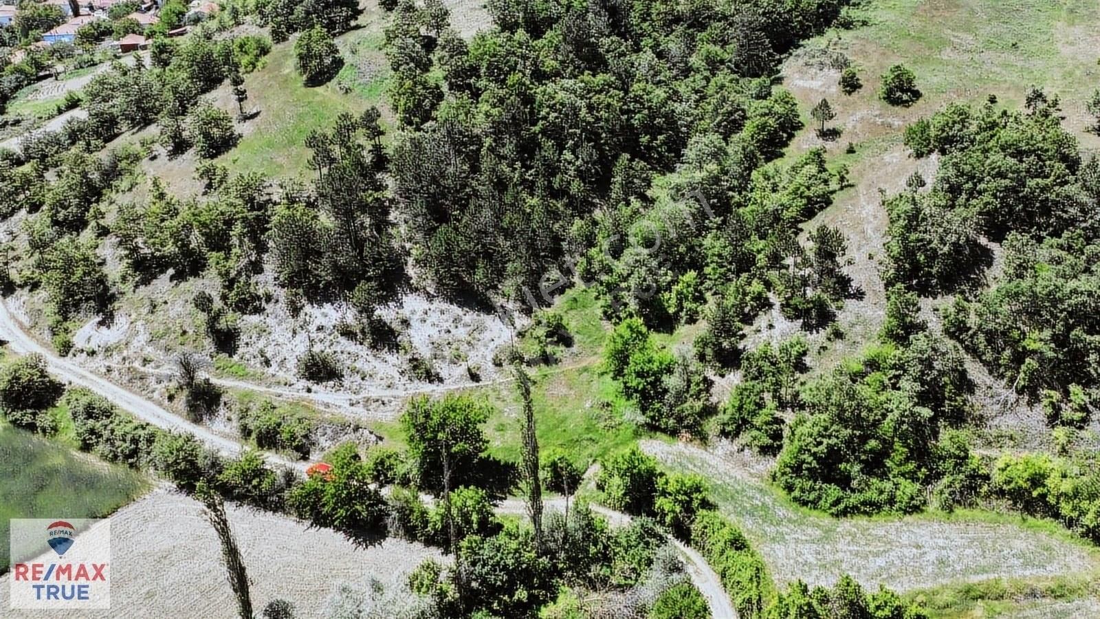 Sındırgı Kınık Satılık Tarla Kınık'ta Tarla Yatırımı İçin Doğru Zaman