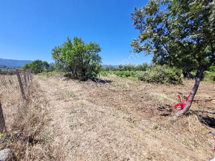 Bayramiç Köseler Köyü Satılık Bağ & Bahçe Sahibinden Satılık Komisyonsuz Müstakil Tek Tapulu Dümdüz Yer