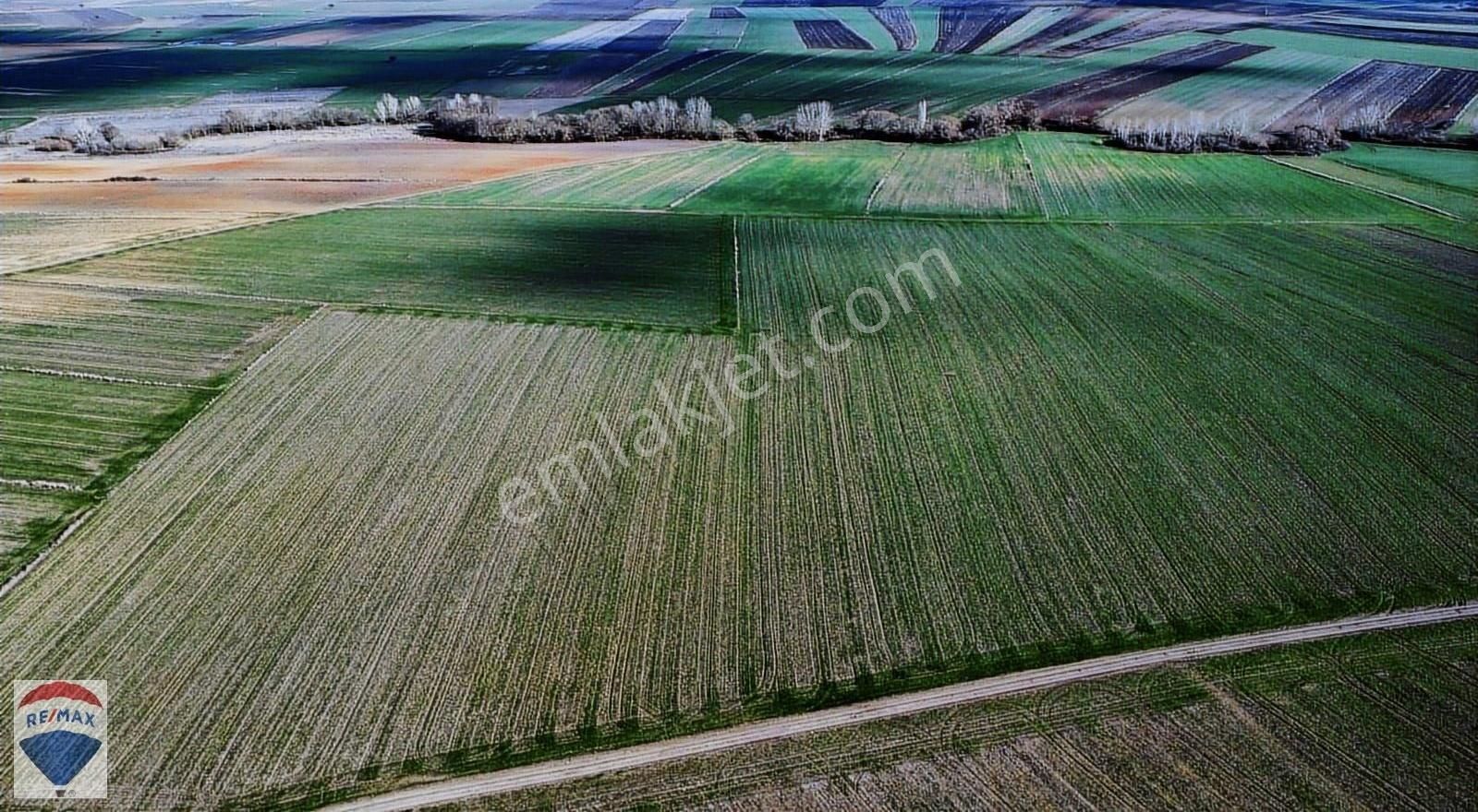 Lüleburgaz Oklalı Köyü Satılık Tarla Lüleburgaz Oklalı Köyünde 114 Dönüm Verimli Tarım Arazisi