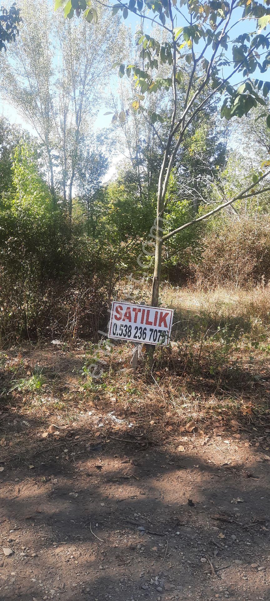 Akşehir Doğrugöz Satılık Tarla Çakıroglu Emlaktan Akşehir Dogrugoz Mahallesinde Yatirimlik Hobi Bahçesi