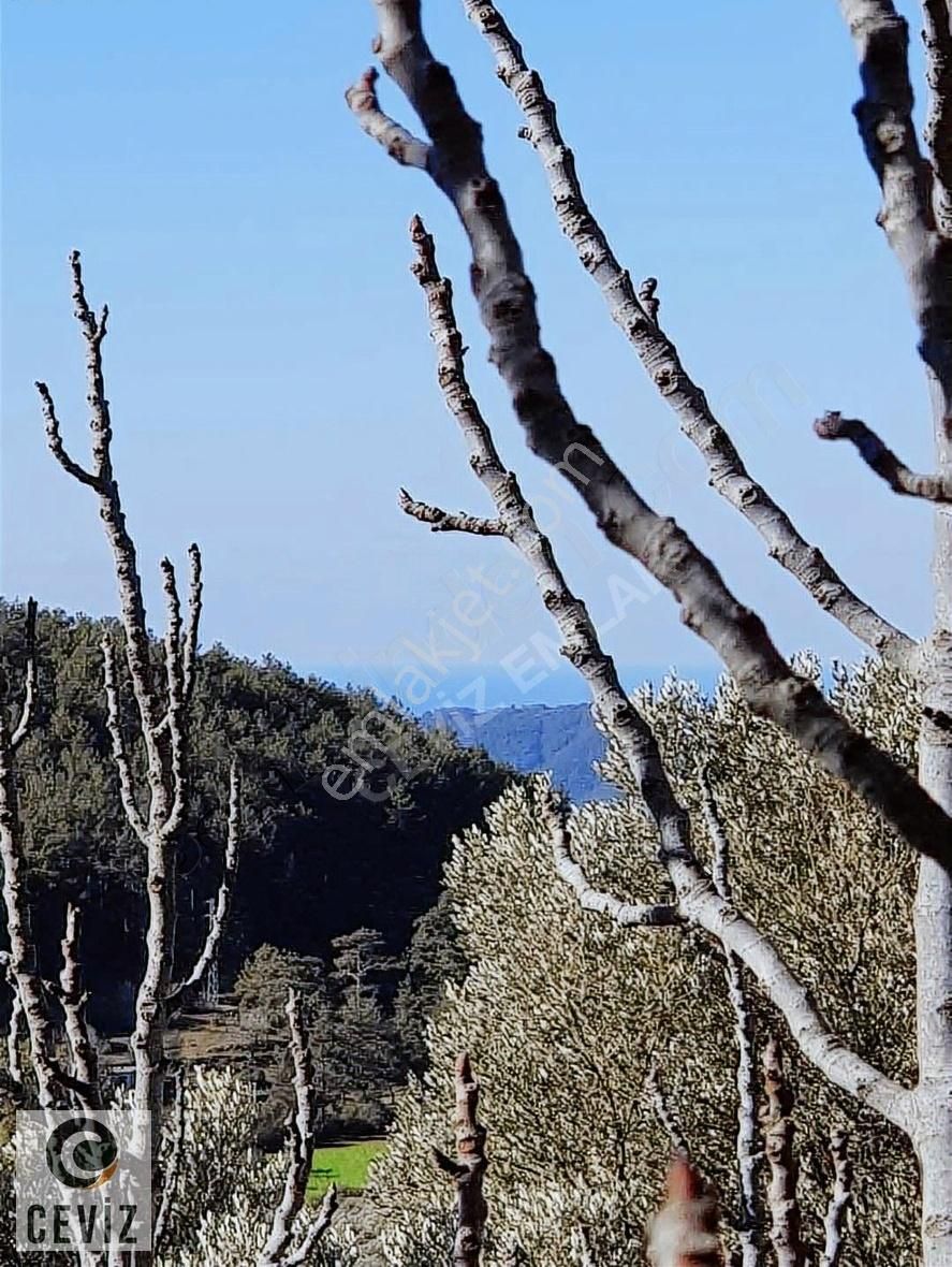 Fethiye İncirköy Satılık Tarla Deniz Manzaralı Yapı Kayıt Belgeli Tarla