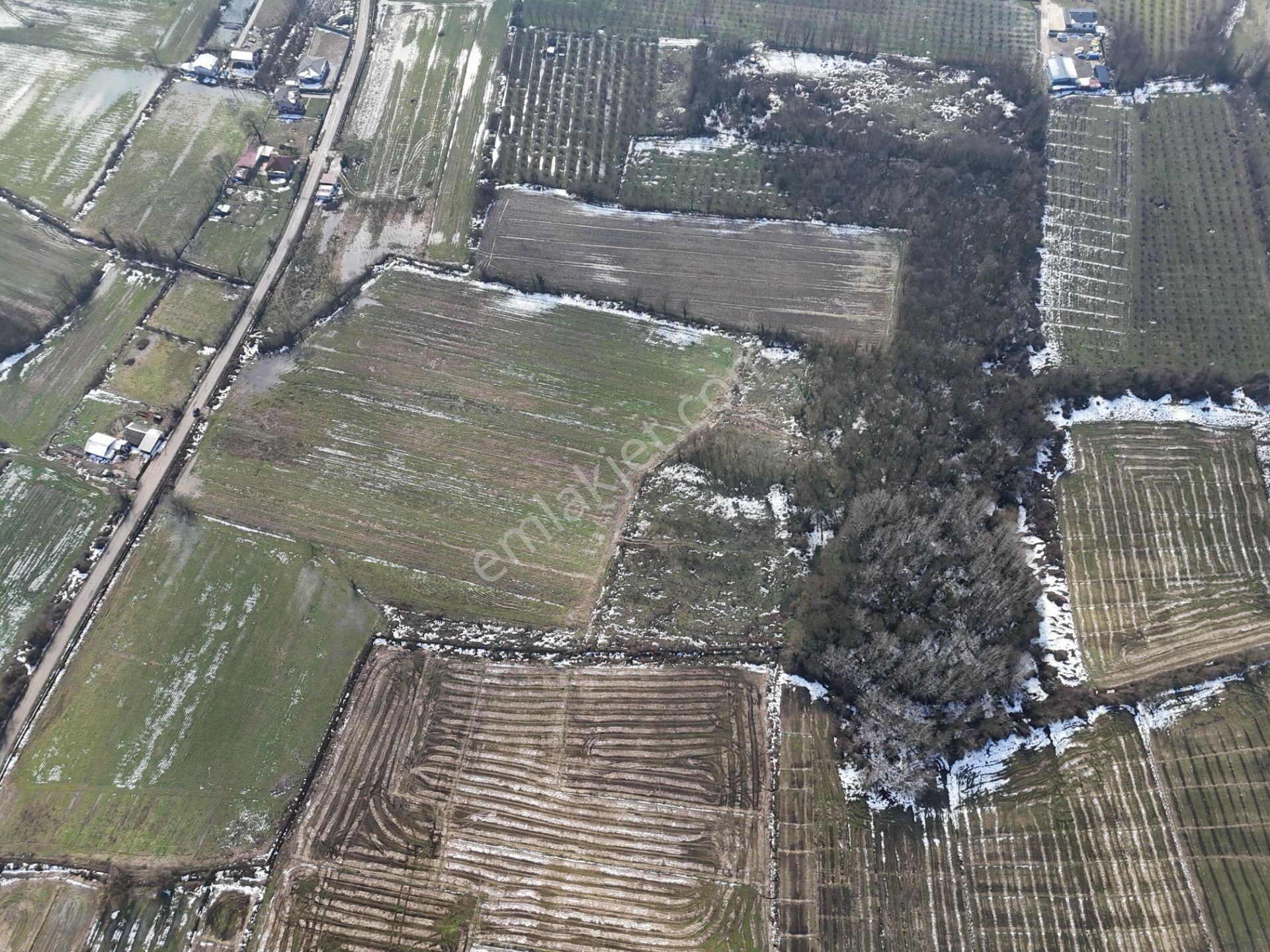 Düzce Merkez Taşköprü Köyü Satılık Tarla 'epa Uğurdan Çerkeztaşköprüde Yatırımlık 1765m² Tarla Hissesi'