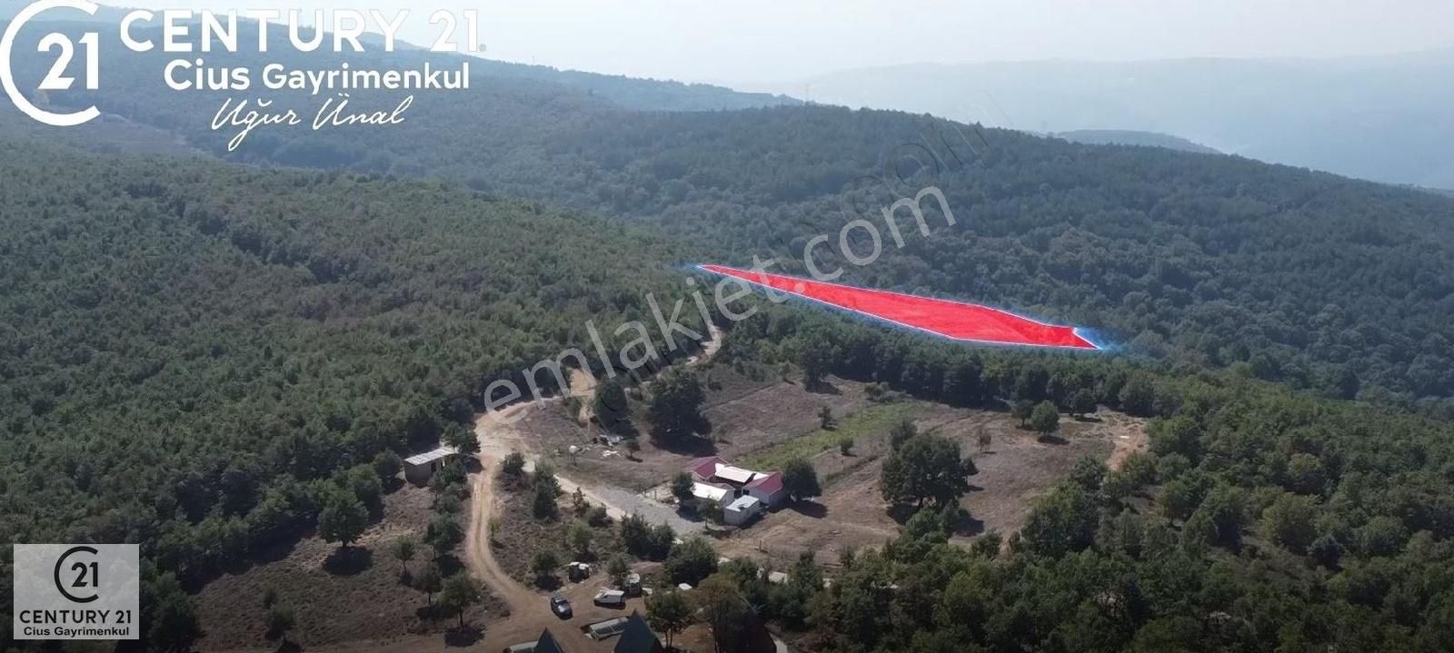 Gemlik Haydariye Satılık Tarla C21 Cius; Bursa/gemlik Haydariye Köyünde 9.077 M2 Satılık Tarla