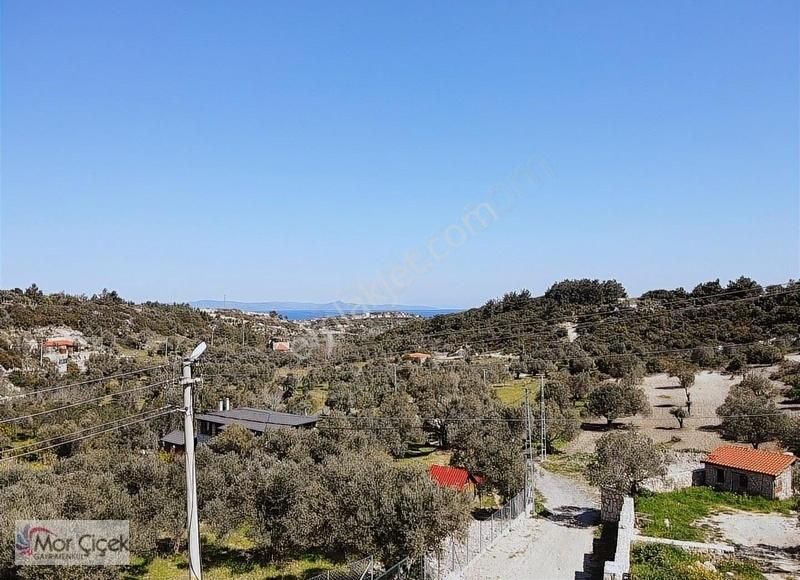 Karaburun Mordoğan Satılık Tarla Morçiçek'ten Mordoğan Köyüne Çok Yakın Deniz Manzaralı Tarla