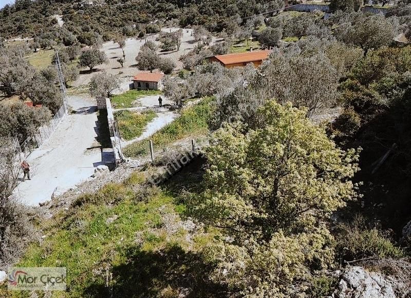 Morçiçek'ten Mordoğan Köyüne Çok Yakın Deniz Manzaralı Tarla - Görsel 2