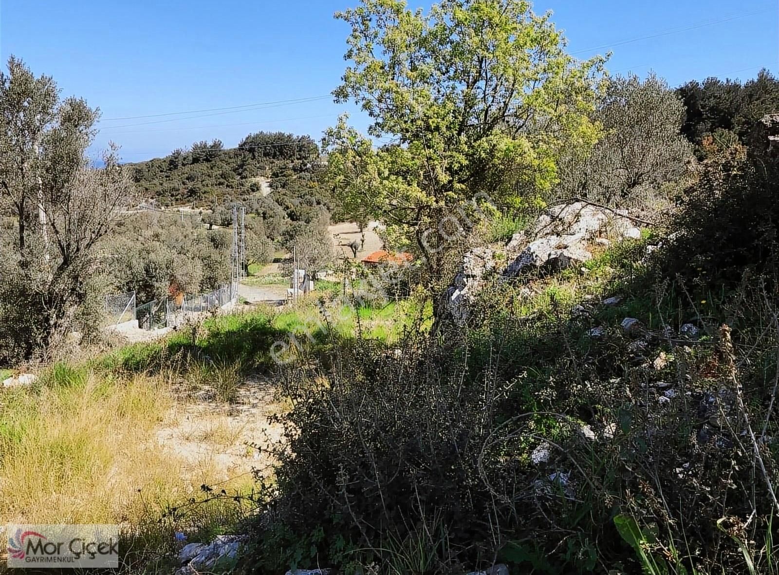 Morçiçek'ten Mordoğan Köyüne Çok Yakın Deniz Manzaralı Tarla - Görsel 7