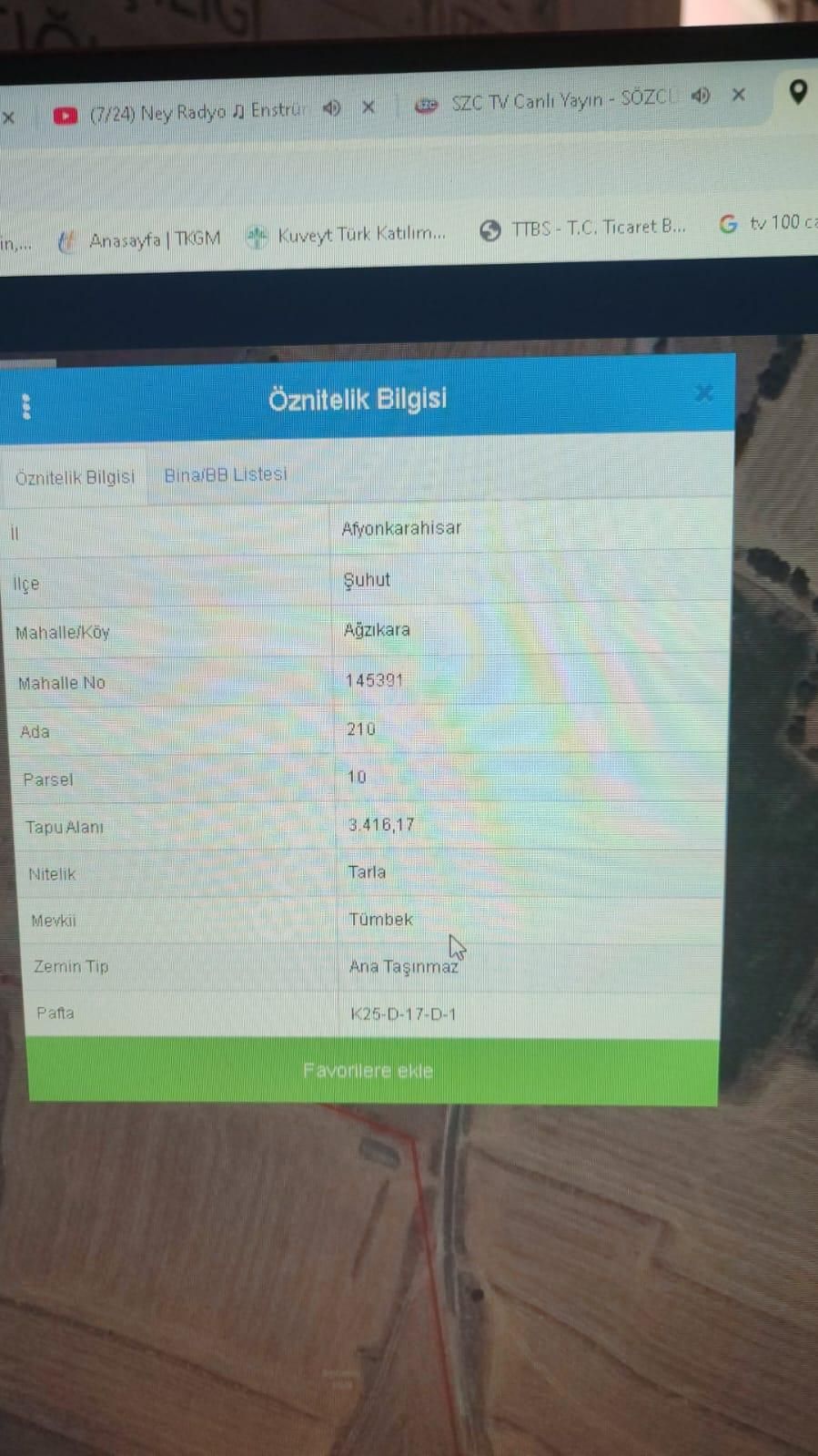 Afyon Tezcan Emlaktan Şuhut Ağzıkarada Tarla - Görsel 4