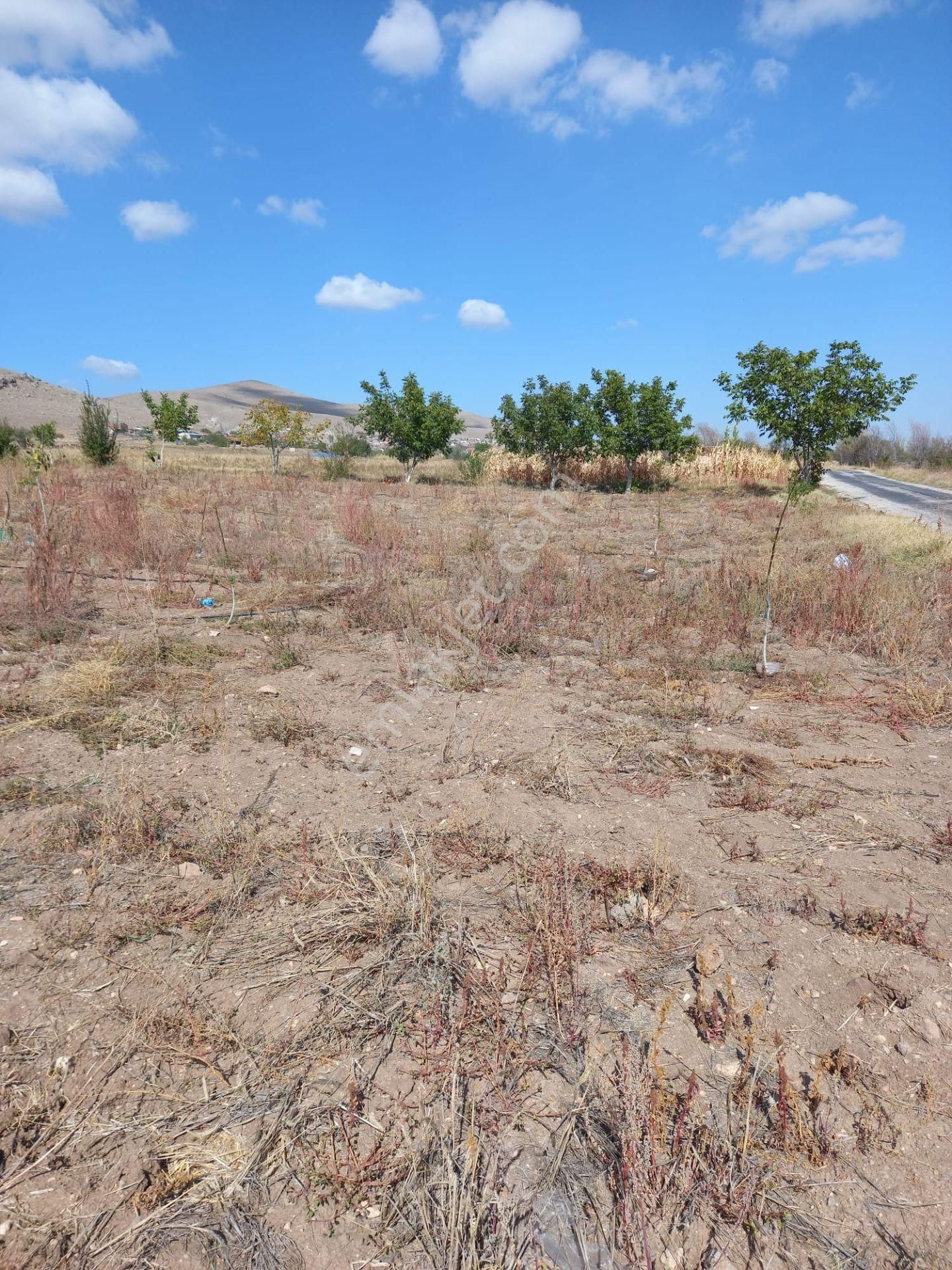 Afyon Tezcan Emlaktan Şuhut Ağzıkarada Tarla - Görsel 7