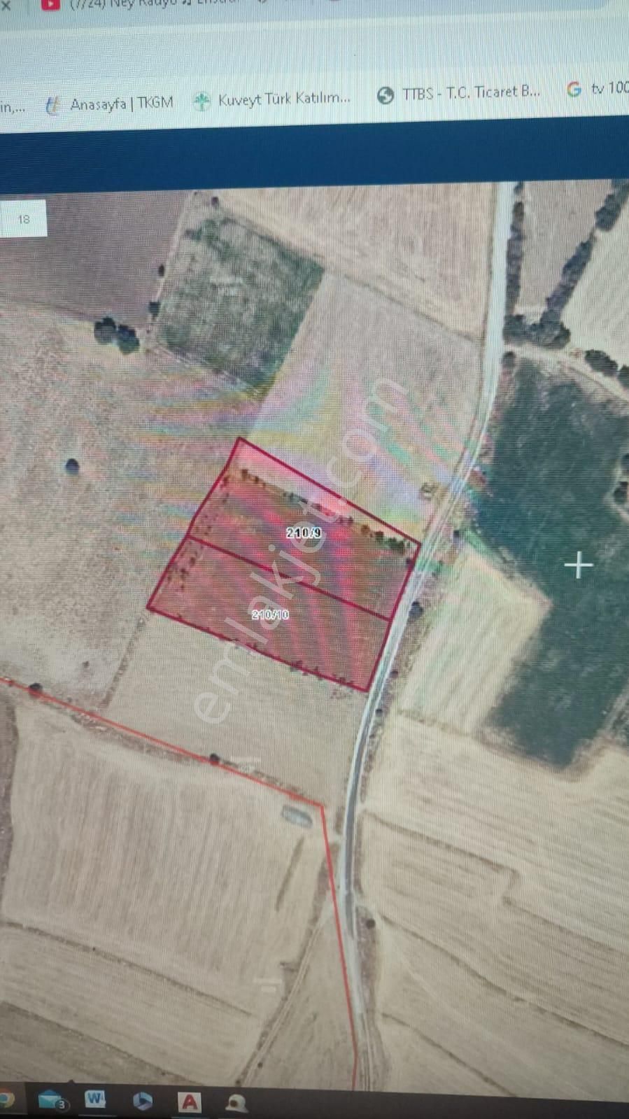 Afyon Tezcan Emlaktan Şuhut Ağzıkarada Tarla - Görsel 3