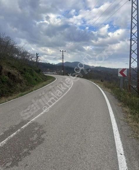 Perşembe Beyli Köyünde 2300m² Deniz Manzaralı Yol Kenarı Bahçe - Görsel 6