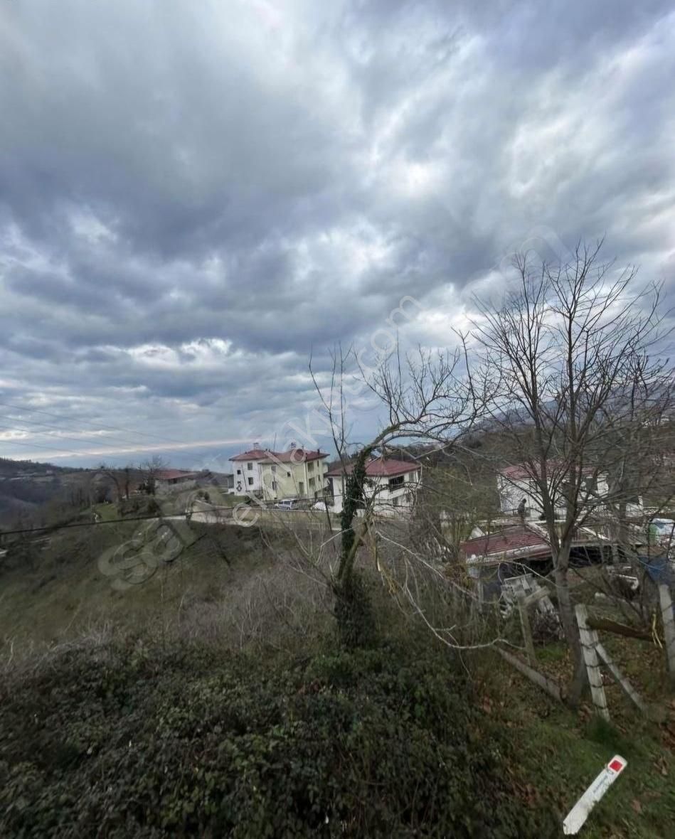 Perşembe Beyli Köyünde 2300m² Deniz Manzaralı Yol Kenarı Bahçe - Görsel 2