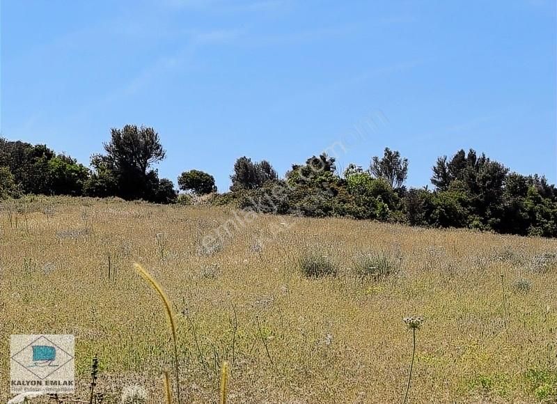 Çeşme Alaçatı Satılık Tarla Alaçatı Port Yolu Yamacında Yatırımlık 13 Dönümlük Arazi