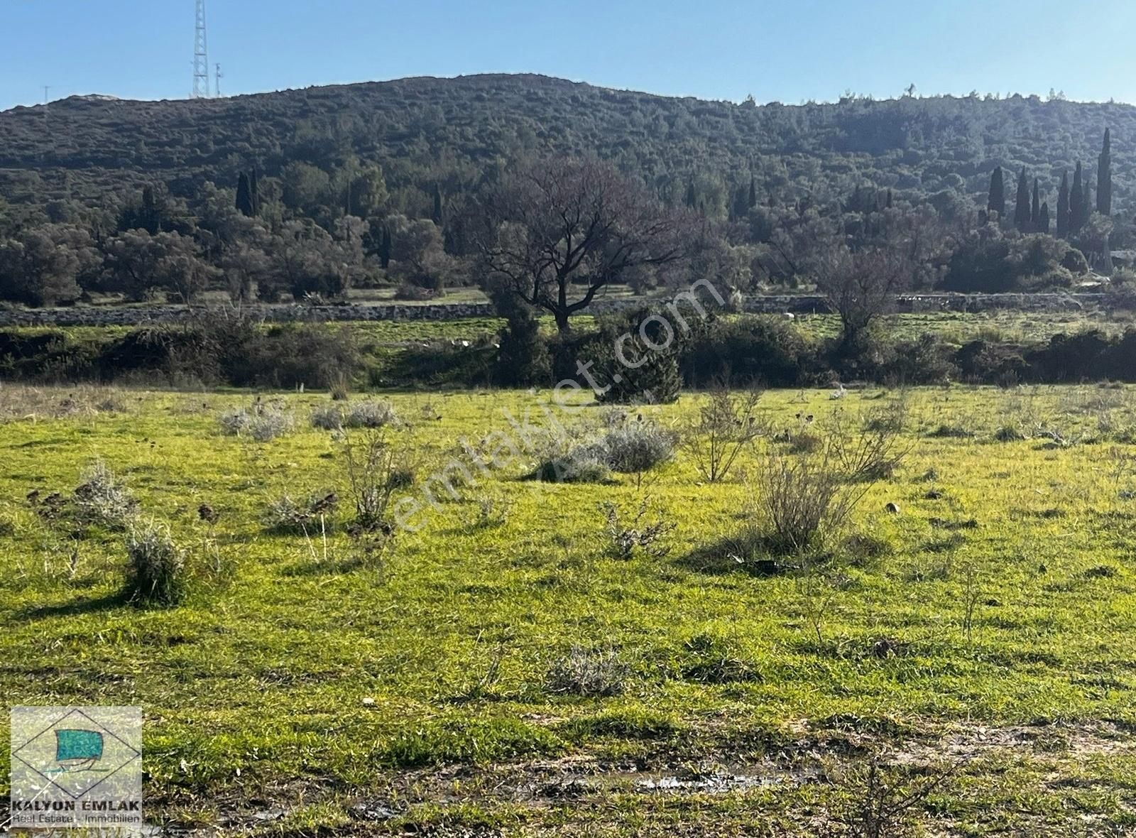 Çeşme Alaçatı Satılık Tarla Alaçatı Port Yolu - Osmanağa'da Satılık Yatırımlık 9677 M2 Tarla