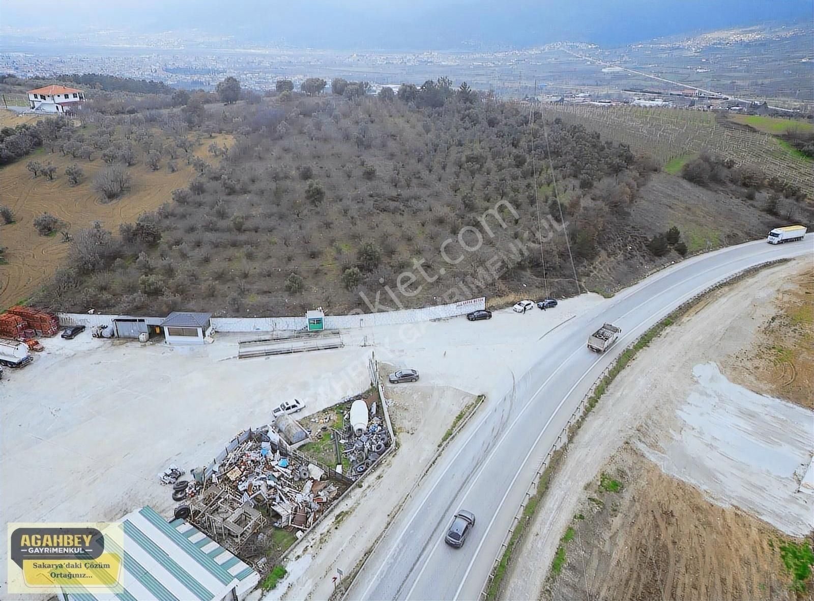 Geyve Hırka Satılık Tarla Ana Asfalta Cepheli Mükemmel Konumda 12.400 M2 Zeytin Bahçesi