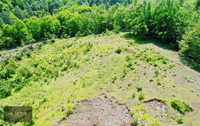 Pamukova Gonca Satılık Tarla Pamukova Goncada 9534m2 Resmi Yollu Tarla