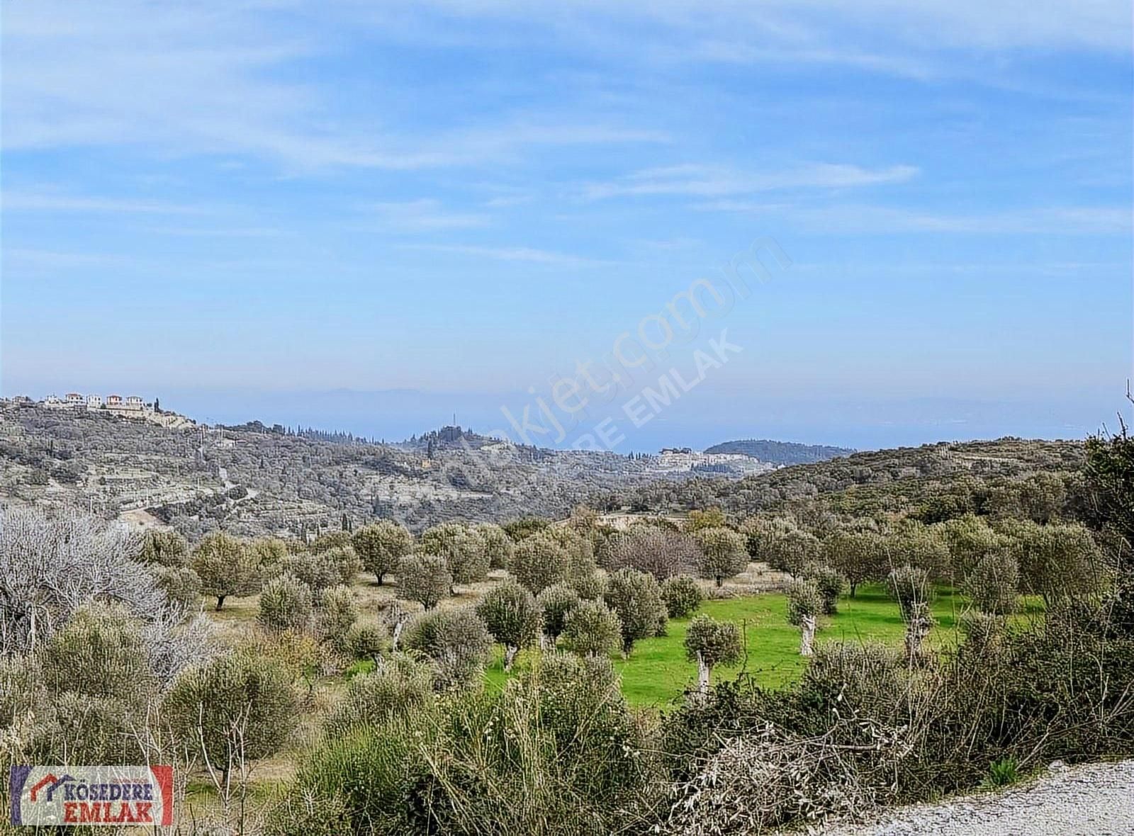 Karaburun Kösedere Satılık Tarla Deniz Manzaralı Kadastral Yola Cepheli Ev Yapabileceğiniz Tarla