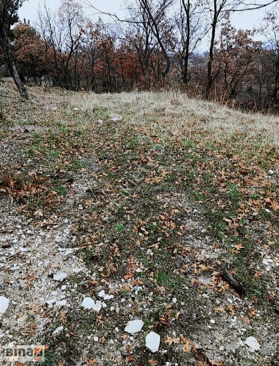 Bergama Karalar Satılık Tarla İzmir Bergama Karalar Mahallesinde Satılık Tarla