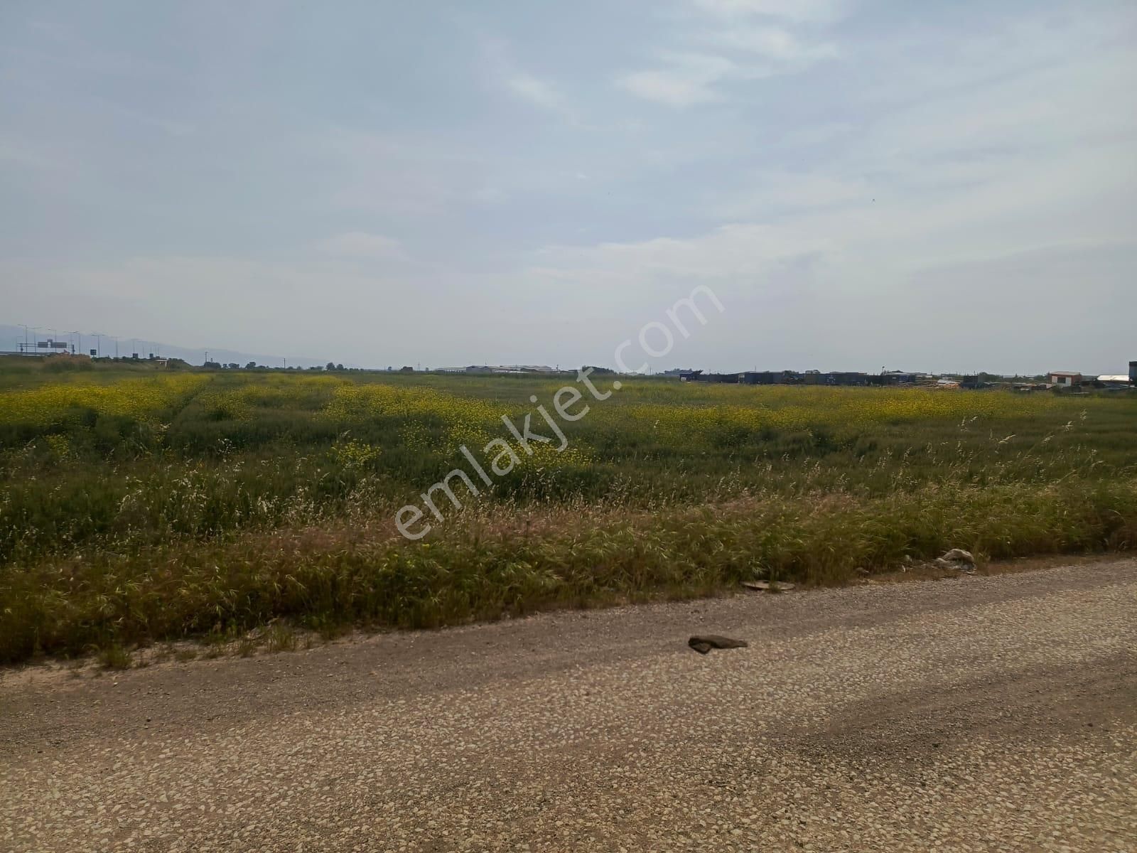 Kemalpaşa Da Satılık Osb Kemalpaşa Organize Sanayı Arsaları - Görsel 8