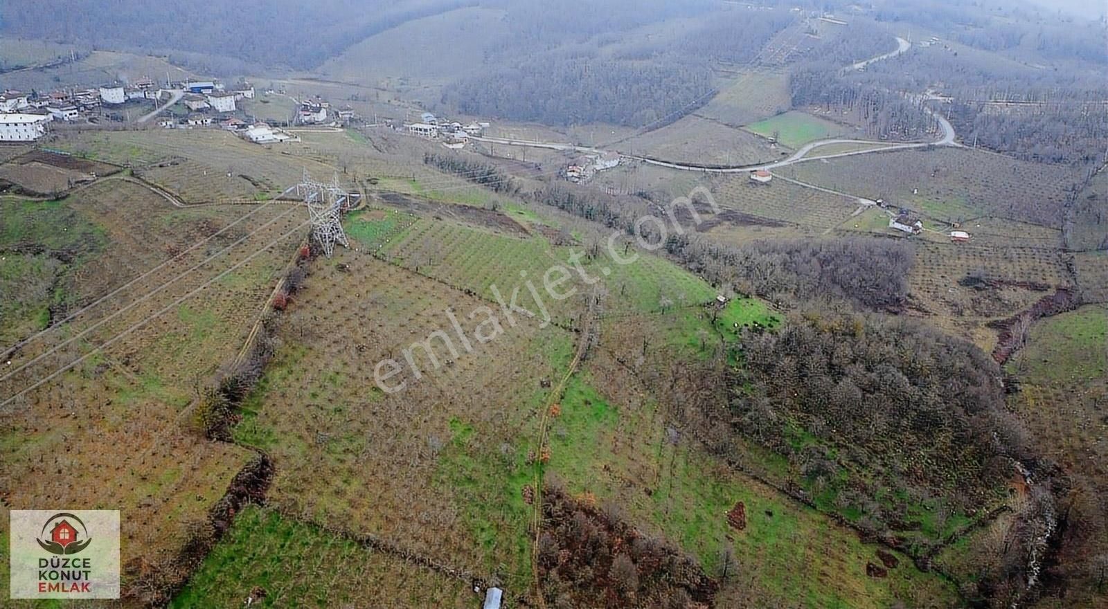 Düzce Merkez Akbıyıklar Köyü Satılık Tarla Düzce Akbıyıklar Köyü 4.230 M2 Satılık Fındık Bahçesi