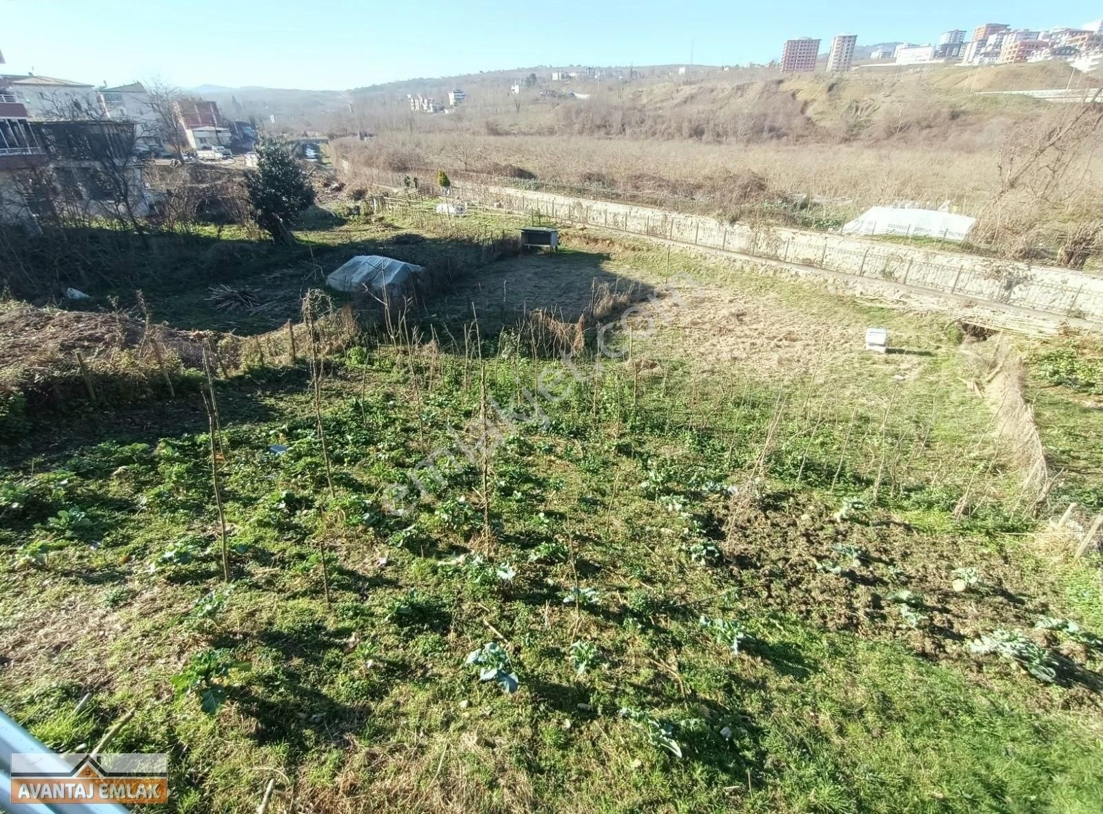 Altınordu Karacaömer Satılık Konut İmarlı Karacaömer Mahallesinde 242 M2 Arsa Ve Üzerinde Hobi Evi