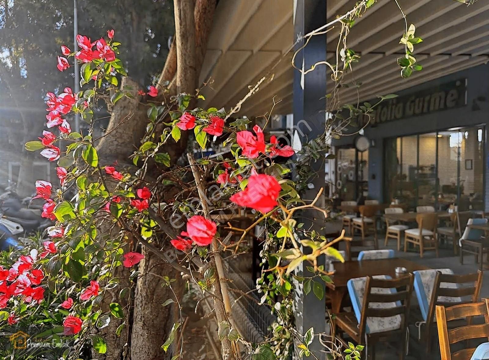 Bodrumun En İşlek Cad Üzerinde Muhteşem Kiralık Restoran Acil.. - Görsel 18