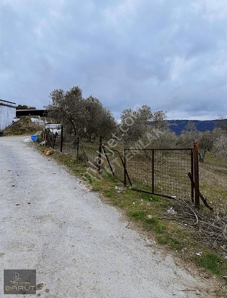 Menteşe Denizova Satılık Konut İmarlı Denizova'da Satılık Manzaralı Arsa