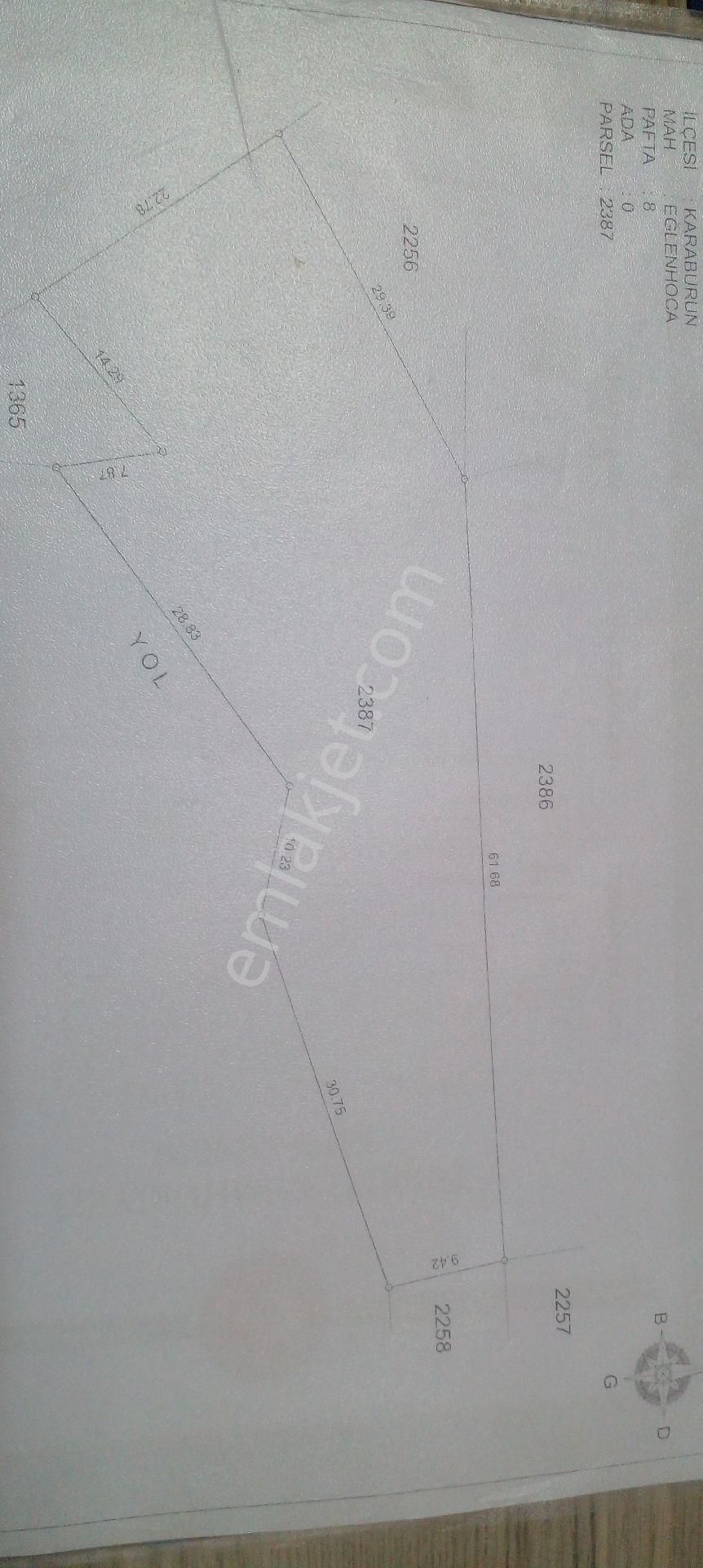 Morçiçek'ten Eğlenhoca'da Satılık Zeytin Ağaçlı Tarla - Görsel 10