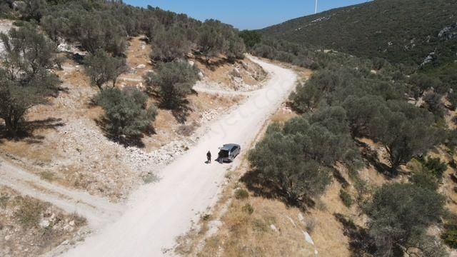 Morçiçek'ten Eğlenhoca'da Satılık Zeytin Ağaçlı Tarla - Görsel 3