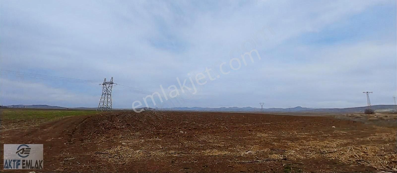 Afyonkarahisar Beyazı Kupon Verimli Arazi - Görsel 2