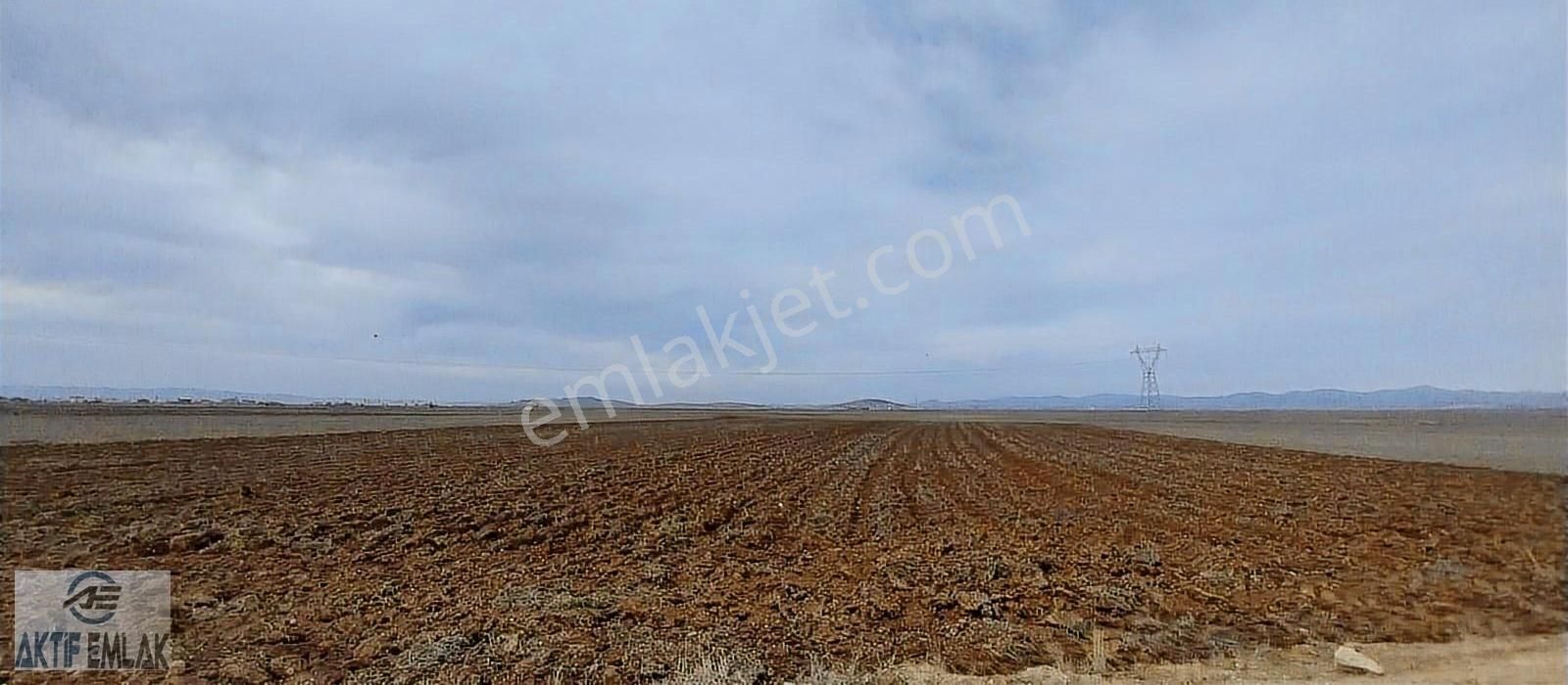 Afyonkarahisar Merkez Beyyazı Bld. (Örnek) Satılık Tarla Afyonkarahisar Beyazı Kupon Verimli Arazi