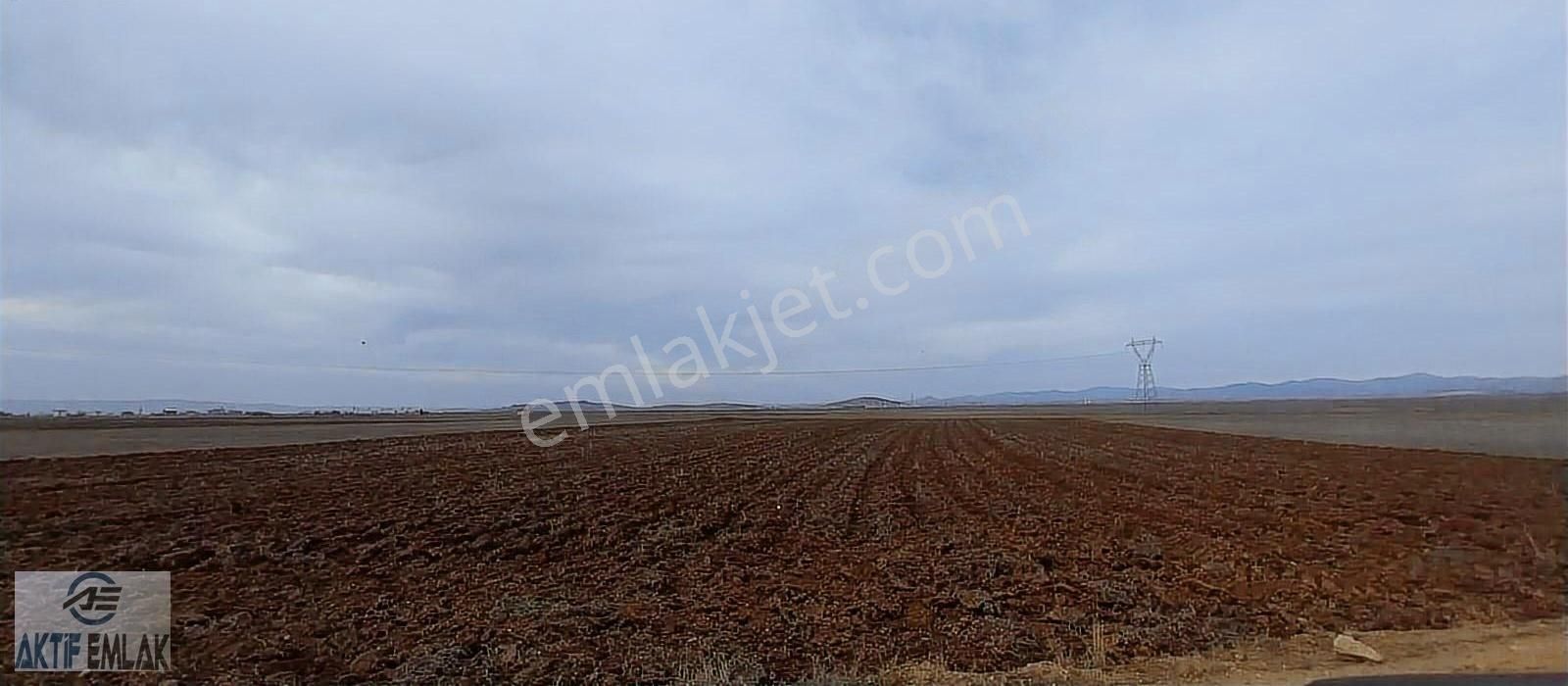 Afyonkarahisar Beyazı Kupon Verimli Arazi - Görsel 6