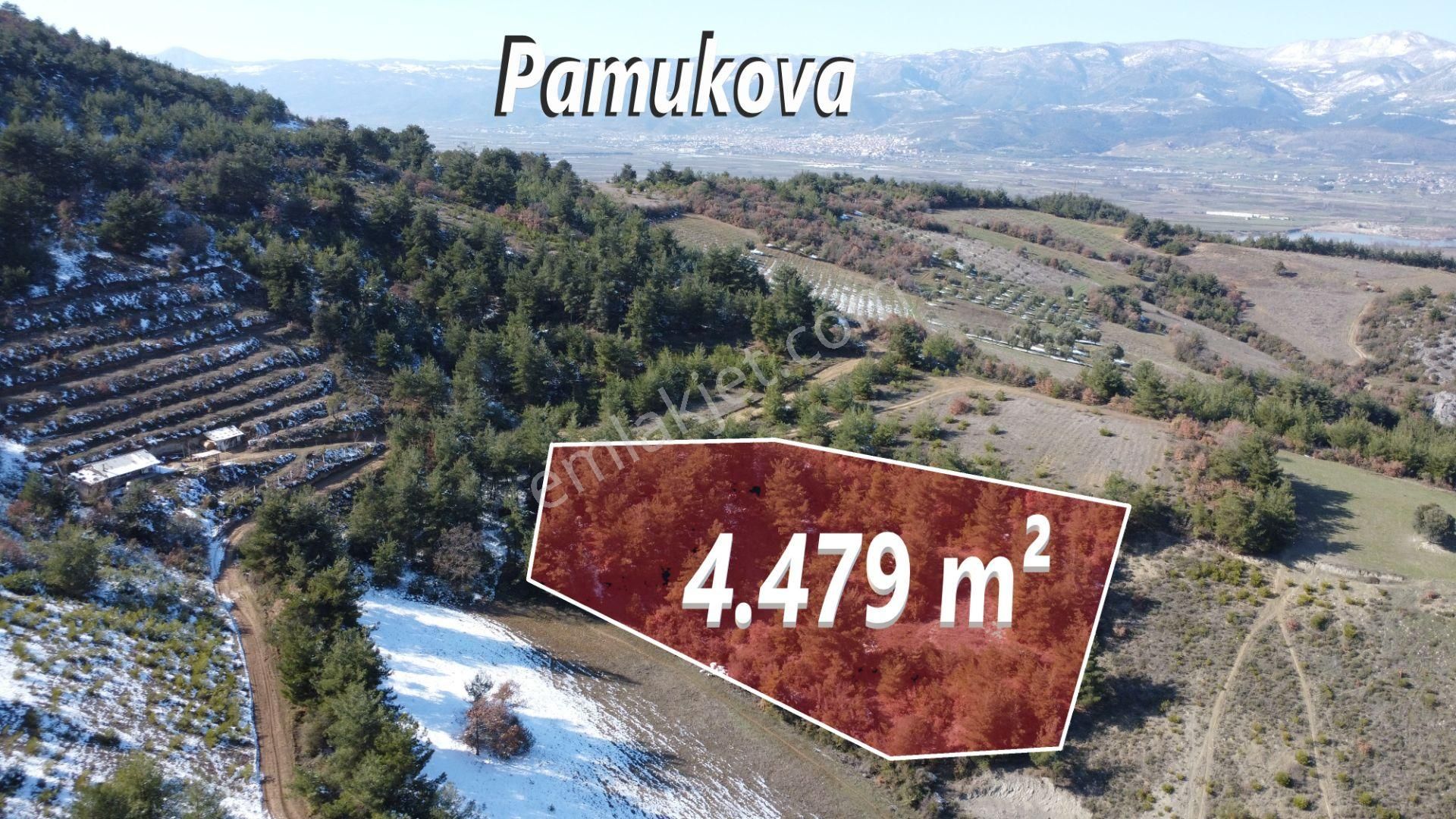 Remax Mavi Erol Çekcan Dan Geyve Safıbeyde 4.479m2 Satılık Bağ. - Görsel 10