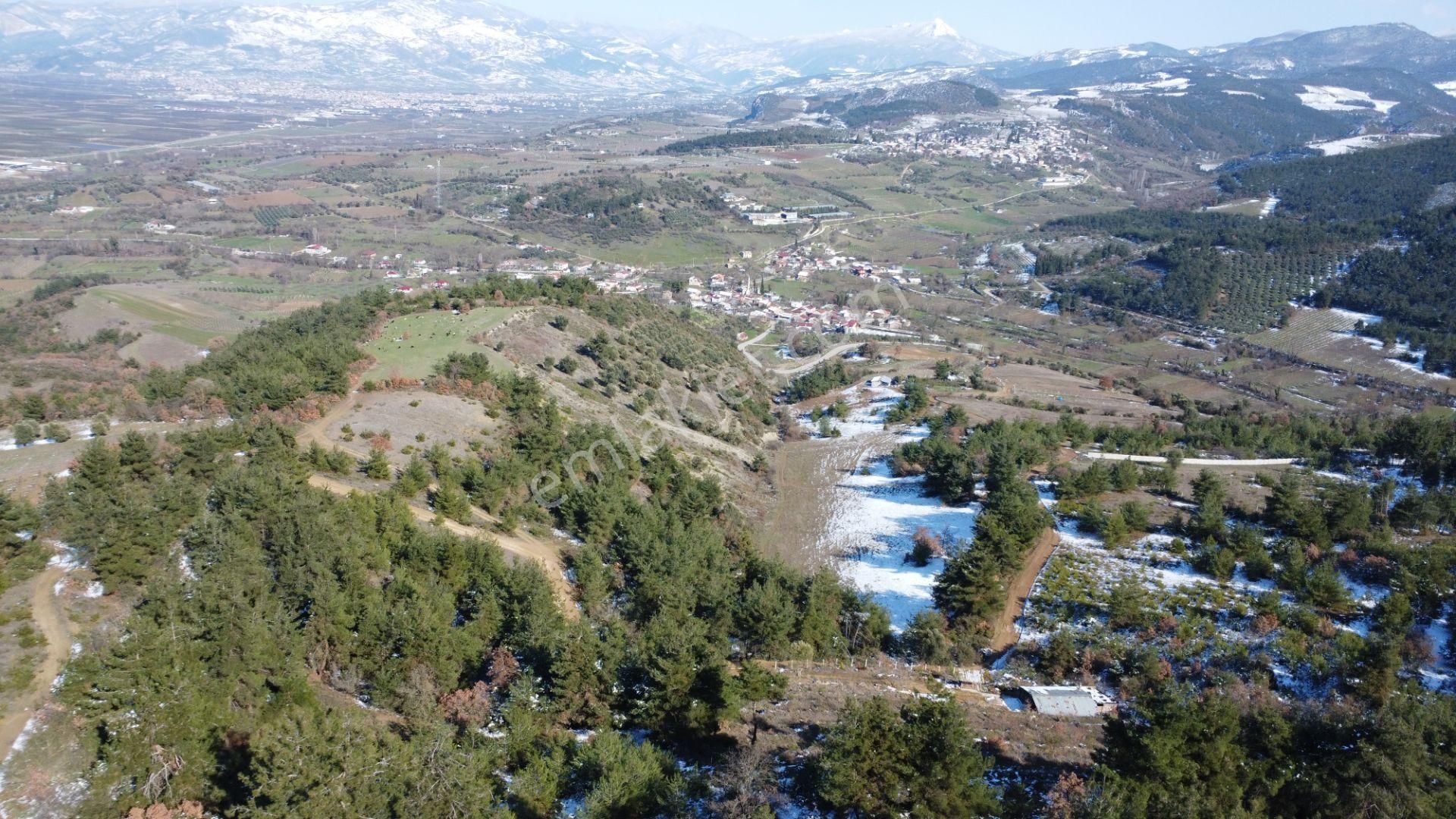 Remax Mavi Erol Çekcan Dan Geyve Safıbeyde 4.479m2 Satılık Bağ. - Görsel 19