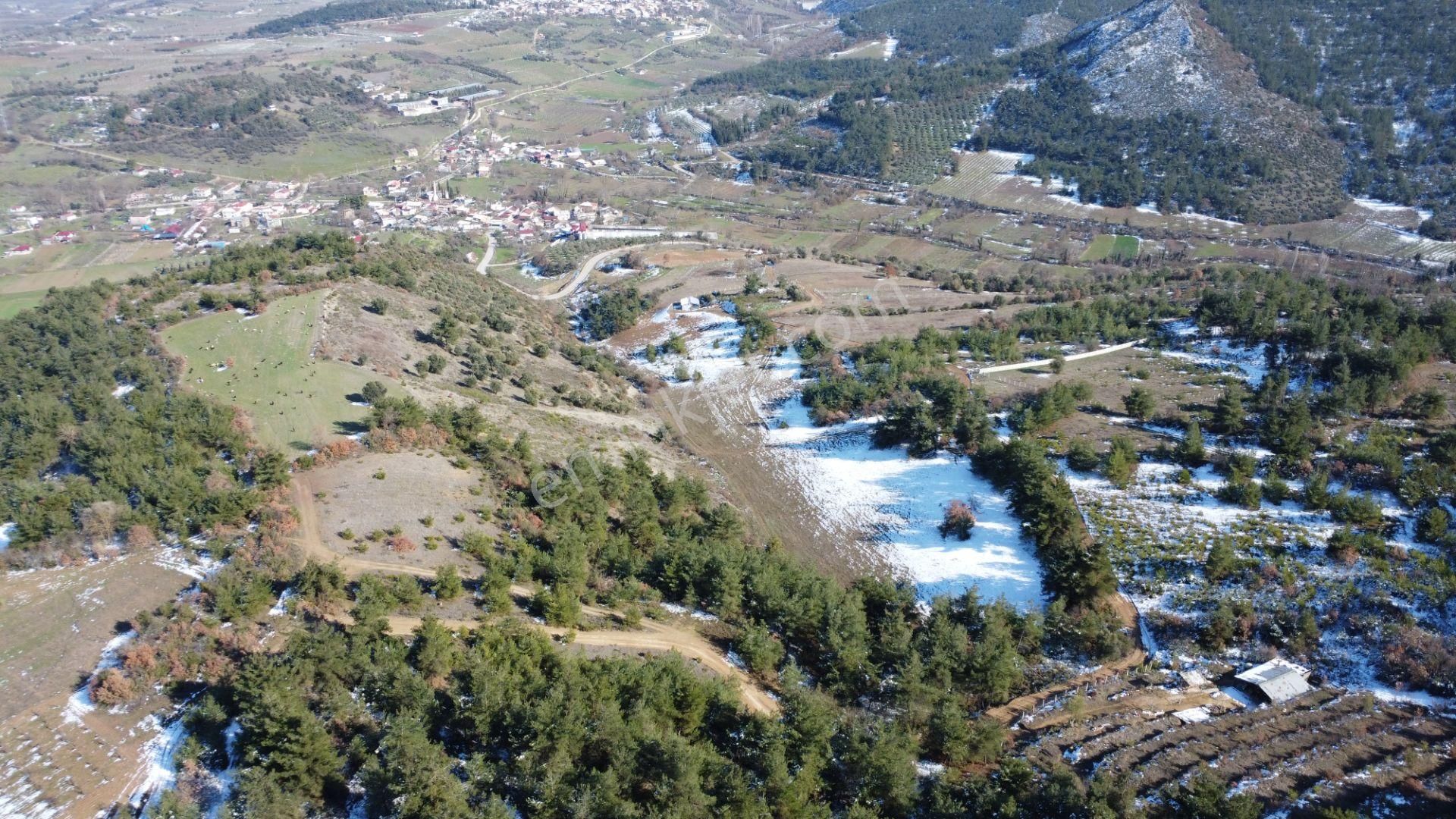 Remax Mavi Erol Çekcan Dan Geyve Safıbeyde 4.479m2 Satılık Bağ. - Görsel 17