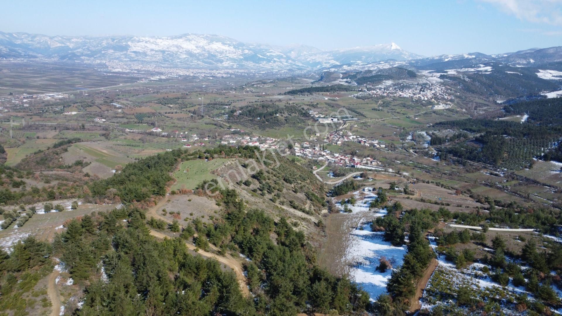 Remax Mavi Erol Çekcan Dan Geyve Safıbeyde 4.479m2 Satılık Bağ. - Görsel 7