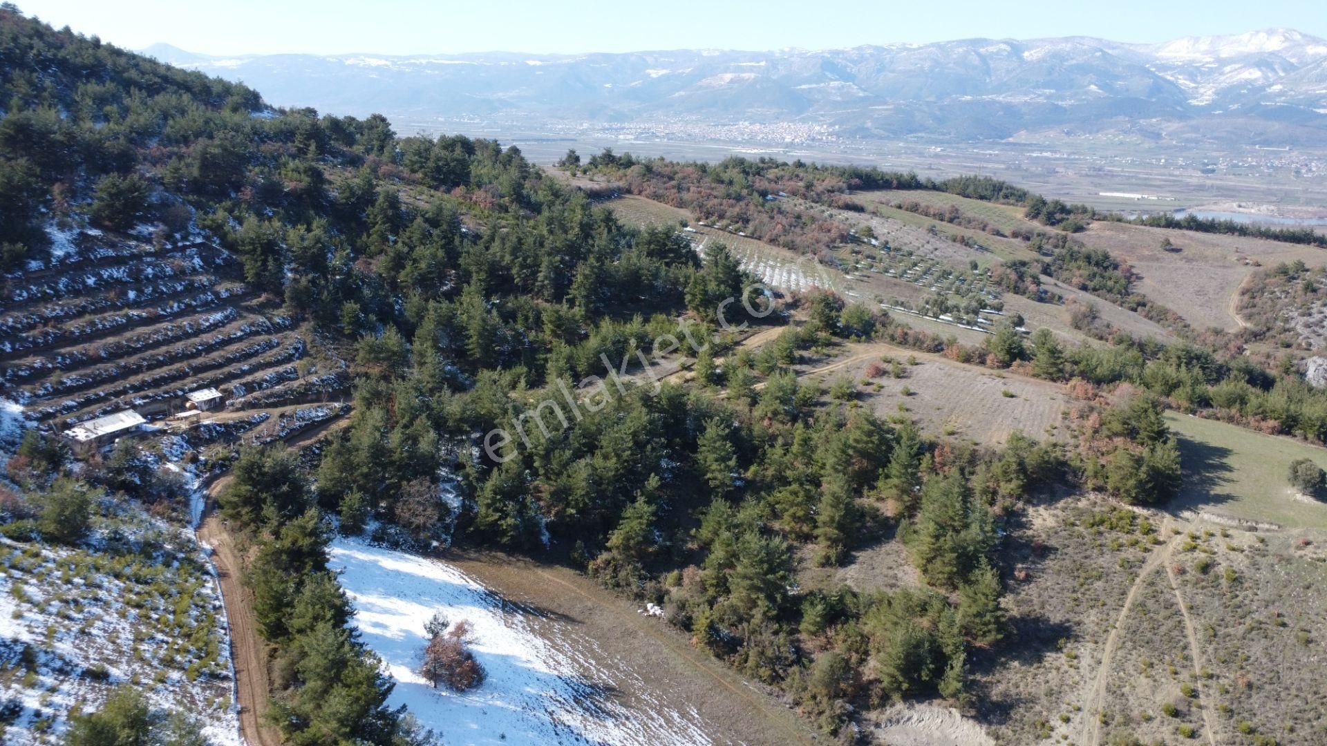 Remax Mavi Erol Çekcan Dan Geyve Safıbeyde 4.479m2 Satılık Bağ. - Görsel 9