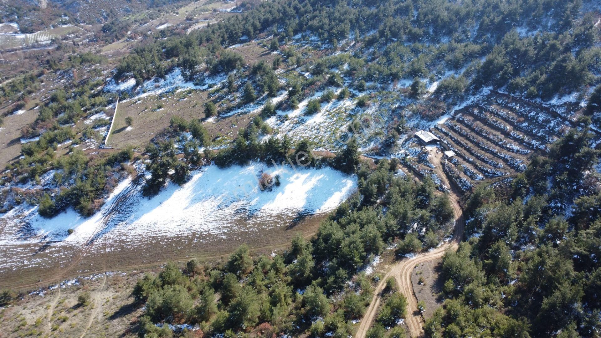 Remax Mavi Erol Çekcan Dan Geyve Safıbeyde 4.479m2 Satılık Bağ. - Görsel 13