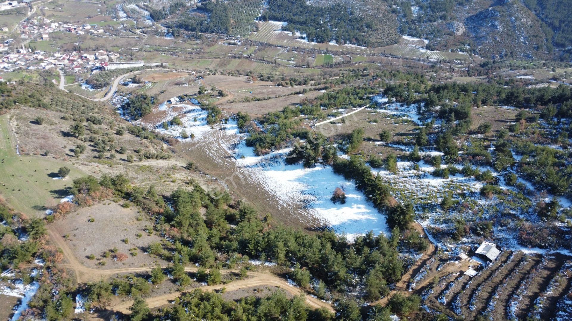 Remax Mavi Erol Çekcan Dan Geyve Safıbeyde 4.479m2 Satılık Bağ. - Görsel 16