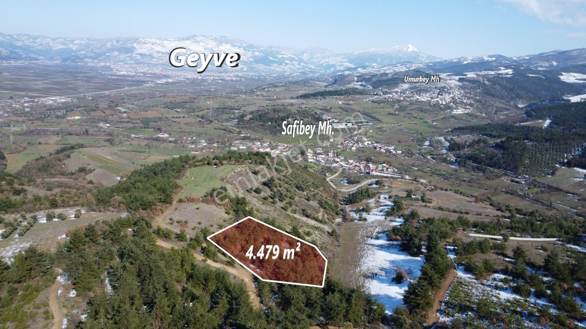 Remax Mavi Erol Çekcan Dan Geyve Safıbeyde 4.479m2 Satılık Bağ. - Görsel 8