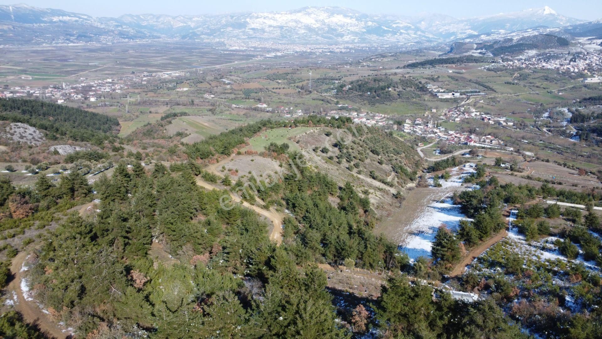 Remax Mavi Erol Çekcan Dan Geyve Safıbeyde 4.479m2 Satılık Bağ. - Görsel 20