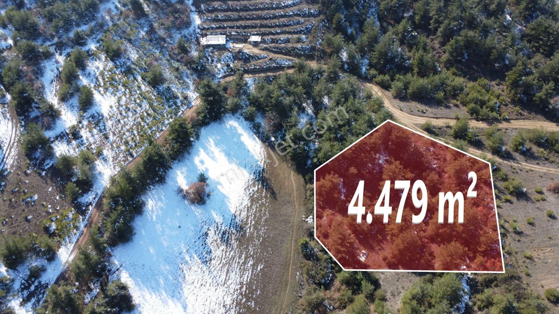 Remax Mavi Erol Çekcan Dan Geyve Safıbeyde 4.479m2 Satılık Bağ. - Görsel 2