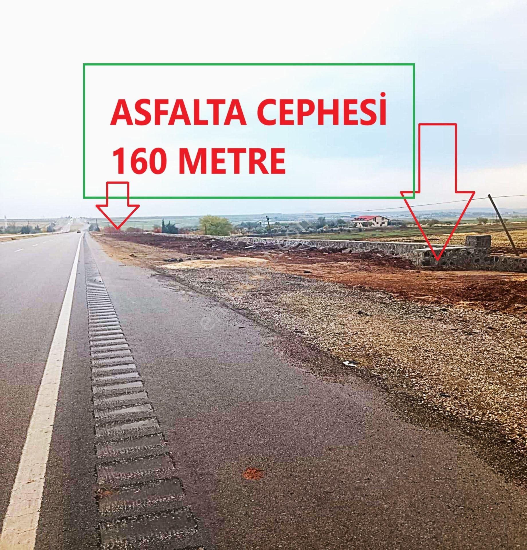 Şahinbey Zeytinli Satılık Tarla Asfalta Sıfır Şahinbey Zeytinli De Tek Tapu Fırsat Yer