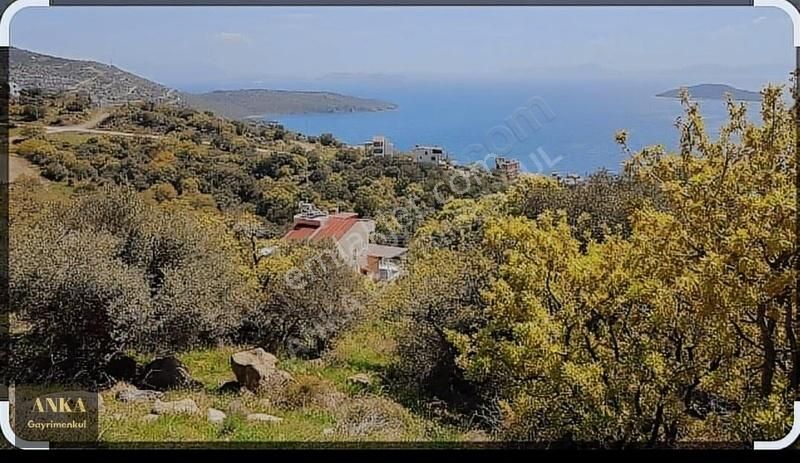 Dikili Bademli Satılık Tarla Anka Gayrimenkul Den Dikili Bademli Yatırımlık Arsa